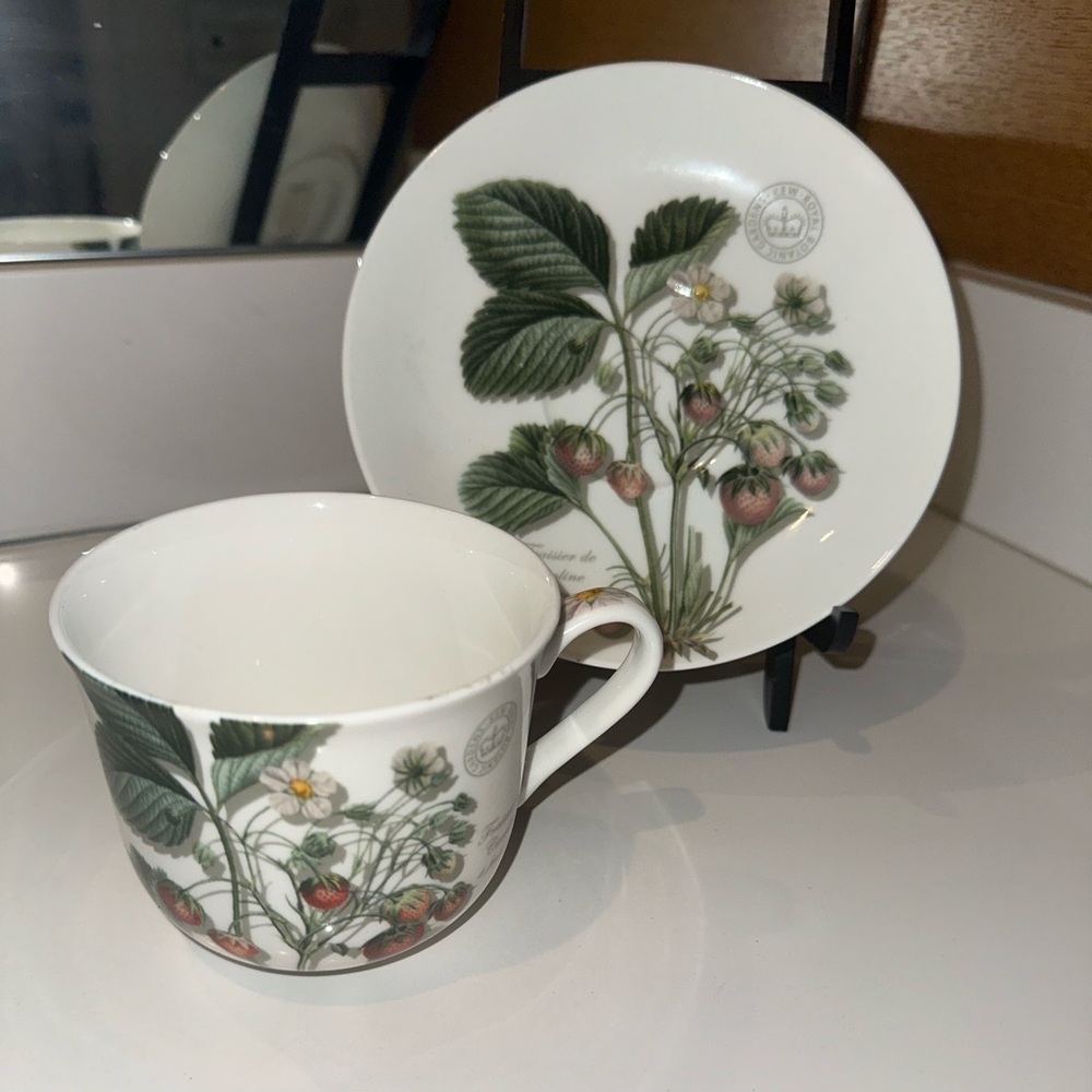 Royal Botanic Gardens Kew Wild Strawberry Fayre Fine China Tea Cup Mug & Saucer
